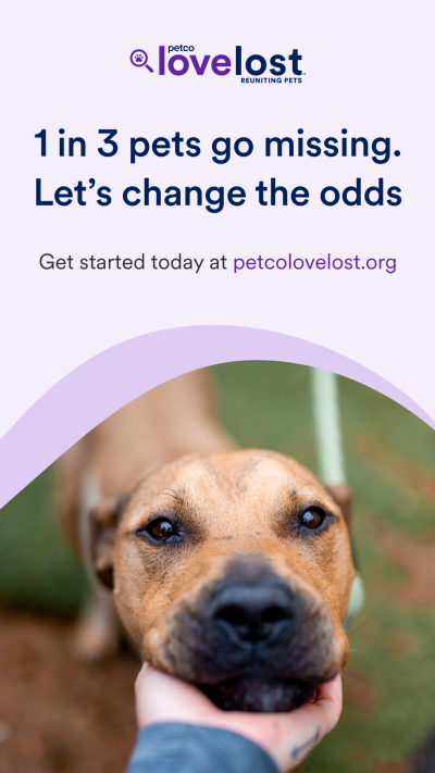 Lost Pet Prevention Month