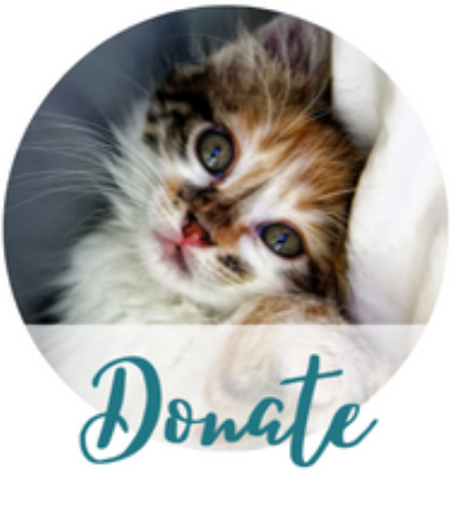 donate donate