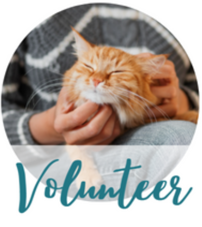 volunteer volunteer
