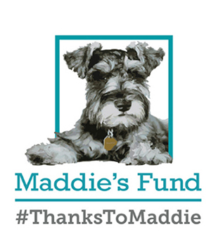 maddie-fund